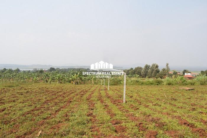 Land-for-sale-in-Bwerenga-Kawuku-Entebbe-road