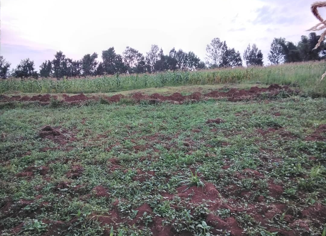 4 acres With Lakeview For Sale In Bwerenga,Entebbe