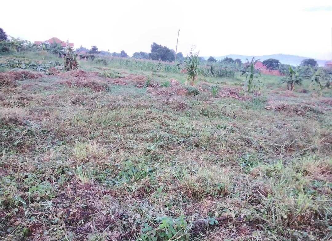 4 acres With Lakeview For Sale In Bwerenga,Entebbe