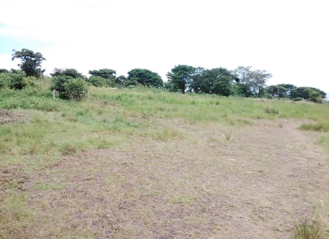 Land For Sale In Garuga,Entebbe Road