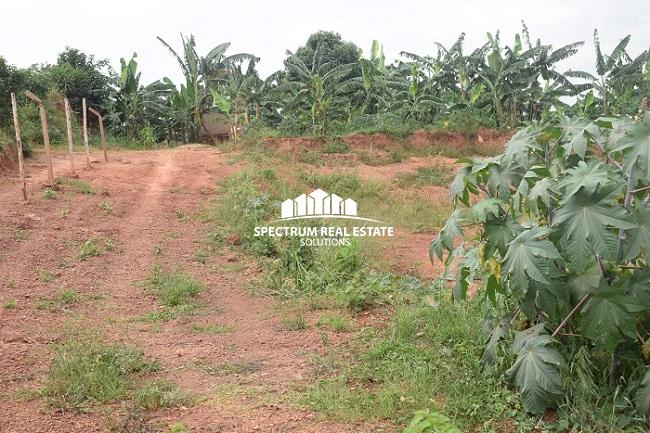 This 50 decimals plot for sale in Kyanja Kampala, Uganda