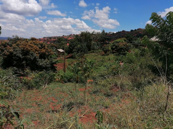 These cheap plots for sale in Akright Estate Entebbe road, Uganda