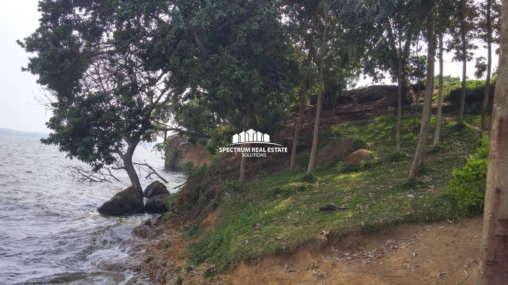 This Lake Victoria shores land for sale in Buwama, Masaka road Uganda