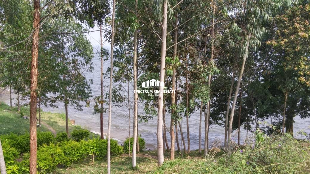 This Lake Victoria shores land for sale in Buwama, Masaka road Uganda