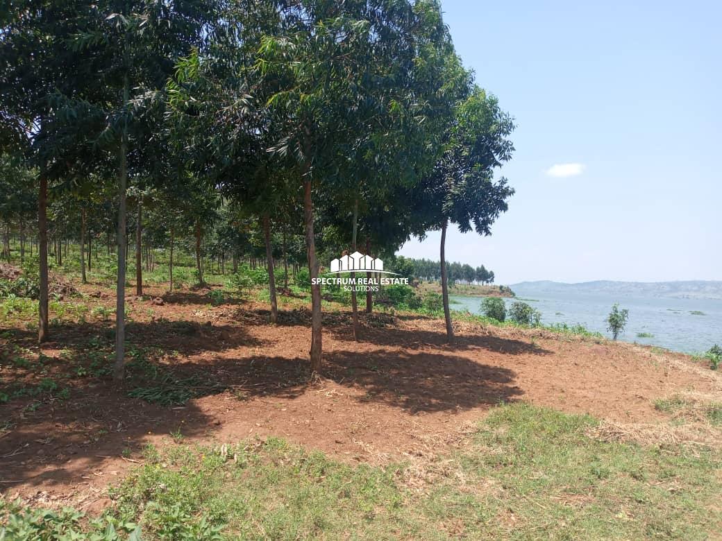 This land for sale in Kakira Jinja, Uganda