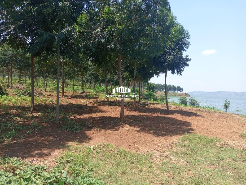This land for sale in Kakira Jinja, Uganda