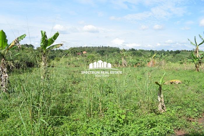 This land for sale in Busika Uganda