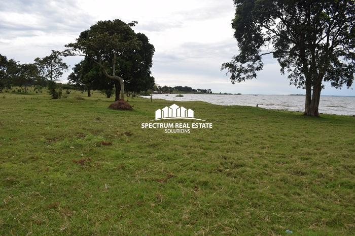 This 19 Acres waterfront land for sale in Garuga Entebbe