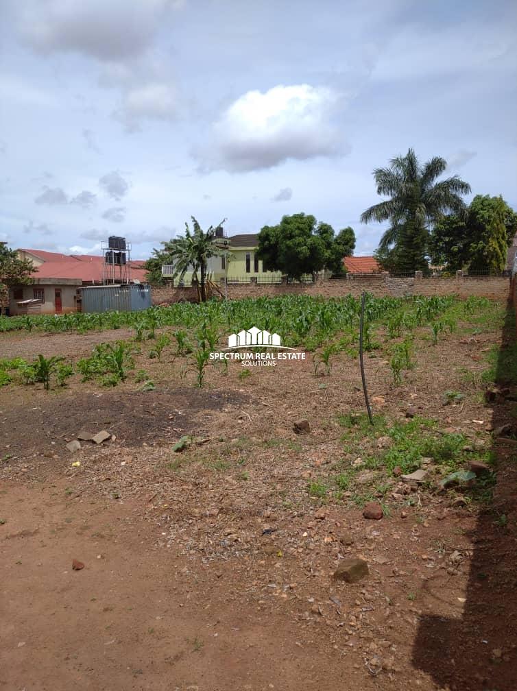 This residential land for sale in Kiwatule Kampala, Uganda