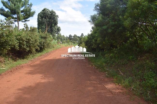 This land for sale in Mbiko Njeru Jinja, Uganda