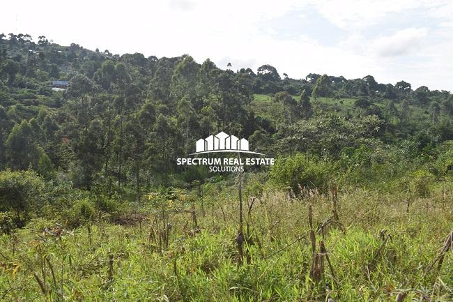 This land for sale in Mbiko Njeru Jinja, Uganda