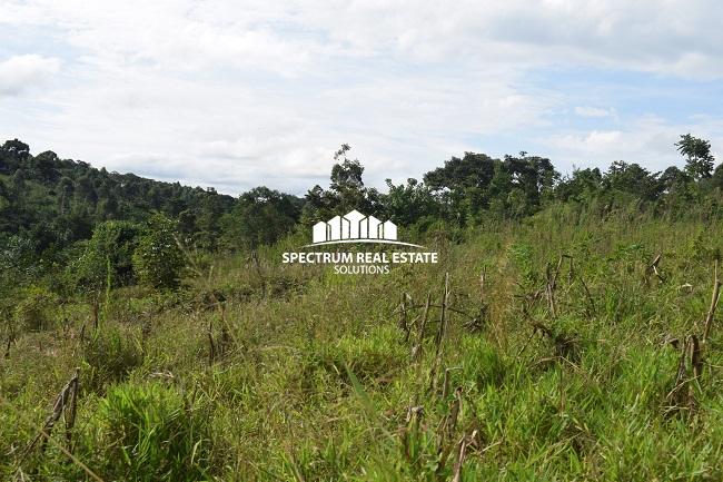 This land for sale in Mbiko Njeru Jinja, Uganda