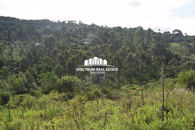 This land for sale in Mbiko Njeru Jinja, Uganda