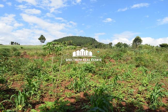 This land for sale in Mbiko Njeru Jinja, Uganda