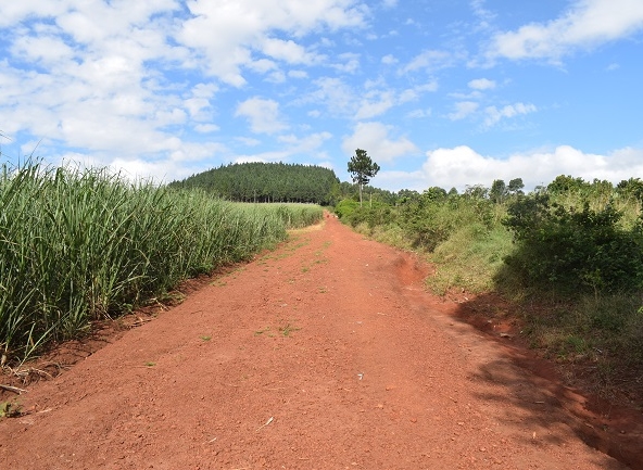 This land for sale in Mbiko Njeru Jinja, Uganda