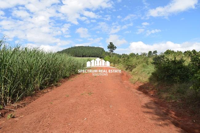 This land for sale in Mbiko Njeru Jinja, Uganda