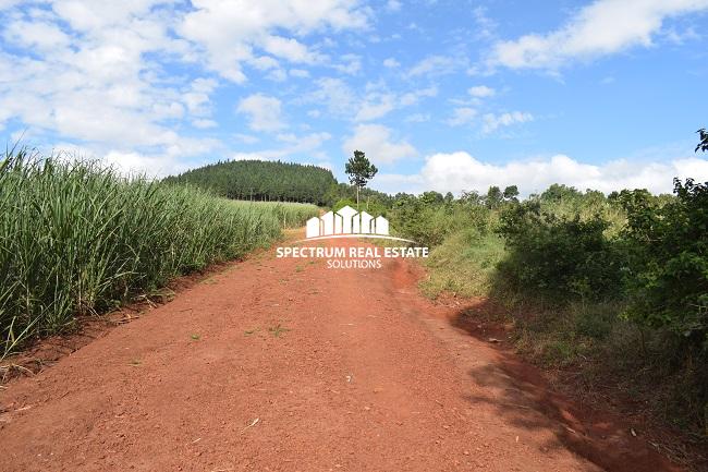 This land for sale in Mbiko Njeru Jinja, Uganda