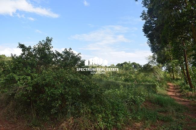 This land for sale in Mbiko Njeru Jinja, Uganda