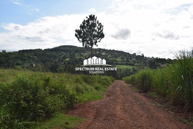 This land for sale in Mbiko Njeru Jinja, Uganda