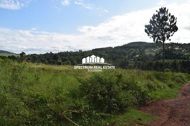 This land for sale in Mbiko Njeru Jinja, Uganda