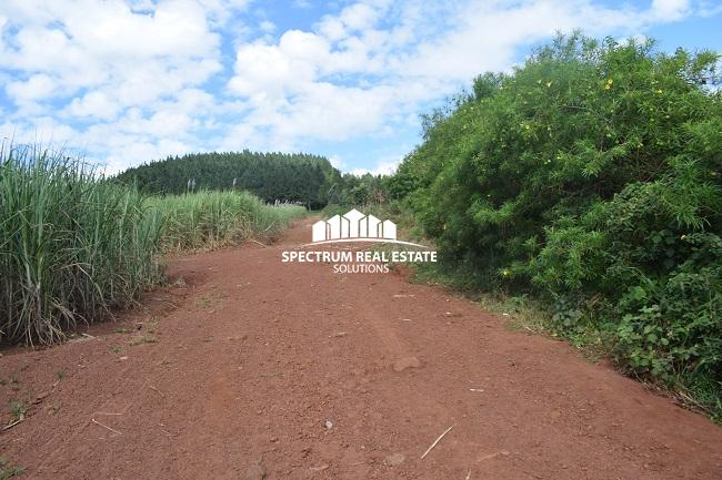 This land for sale in Mbiko Njeru Jinja, Uganda