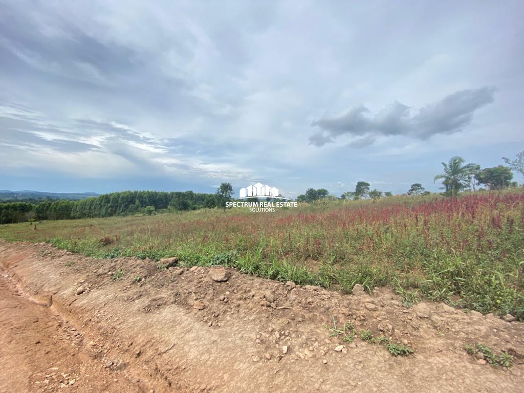 This land for sale in Kakiri, Uganda