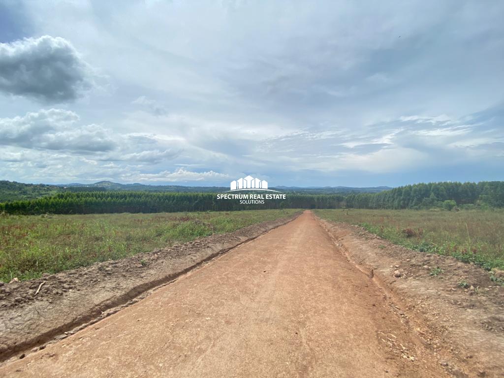 This land for sale in Kakiri, Uganda