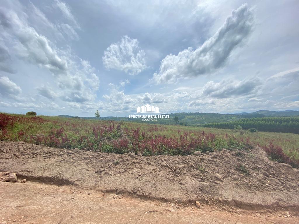 This land for sale in Kakiri, Uganda