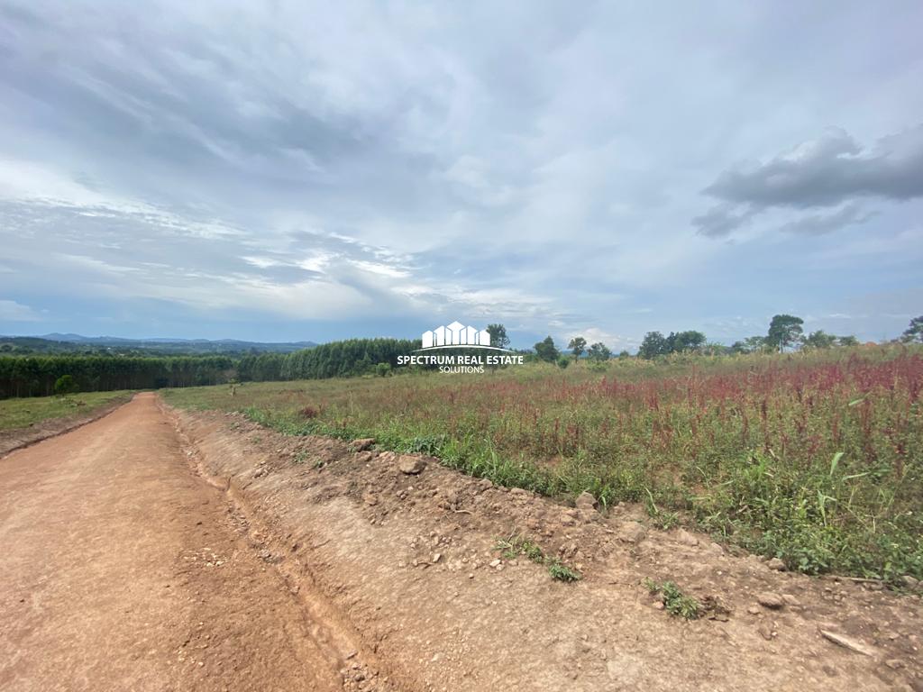 This land for sale in Kakiri, Uganda