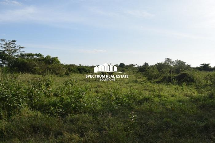 This land for sale is Zirobwe, Luwero district, Uganda