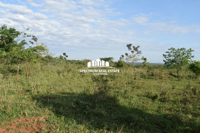 This land for sale is Zirobwe, Luwero district, Uganda