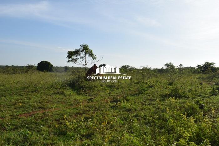 This land for sale is Zirobwe, Luwero district, Uganda