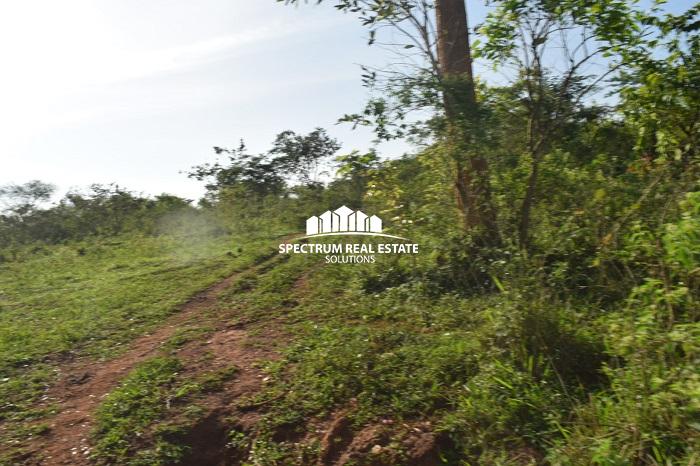 This land for sale is Zirobwe, Luwero district, Uganda