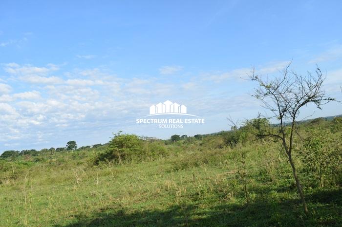 This land for sale is Zirobwe, Luwero district, Uganda