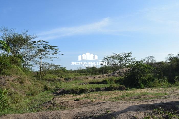 This land for sale is Zirobwe, Luwero district, Uganda