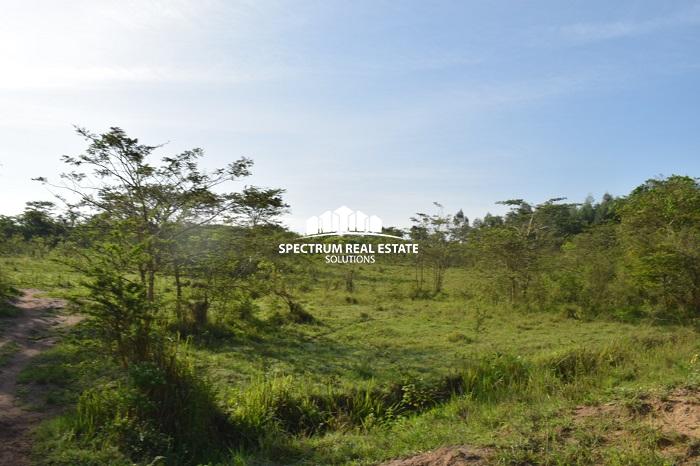 This land for sale is Zirobwe, Luwero district, Uganda