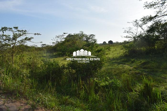 This land for sale is Zirobwe, Luwero district, Uganda