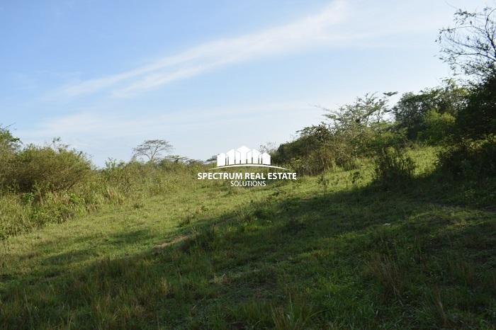 This land for sale is Zirobwe, Luwero district, Uganda