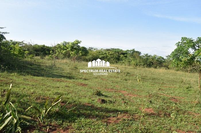 This land for sale is Zirobwe, Luwero district, Uganda