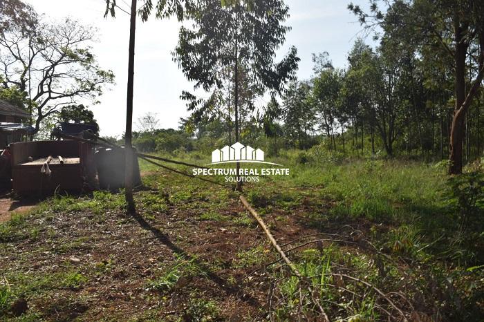 This land for sale is Zirobwe, Luwero district, Uganda