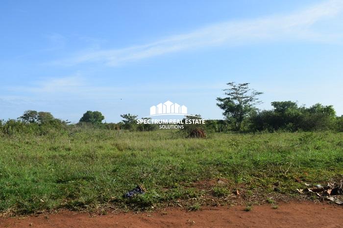 This land for sale is Zirobwe, Luwero district, Uganda