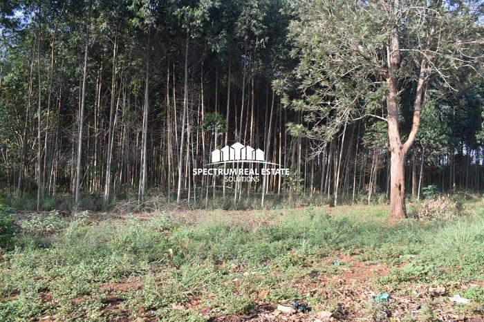 This land for sale is Zirobwe, Luwero district, Uganda