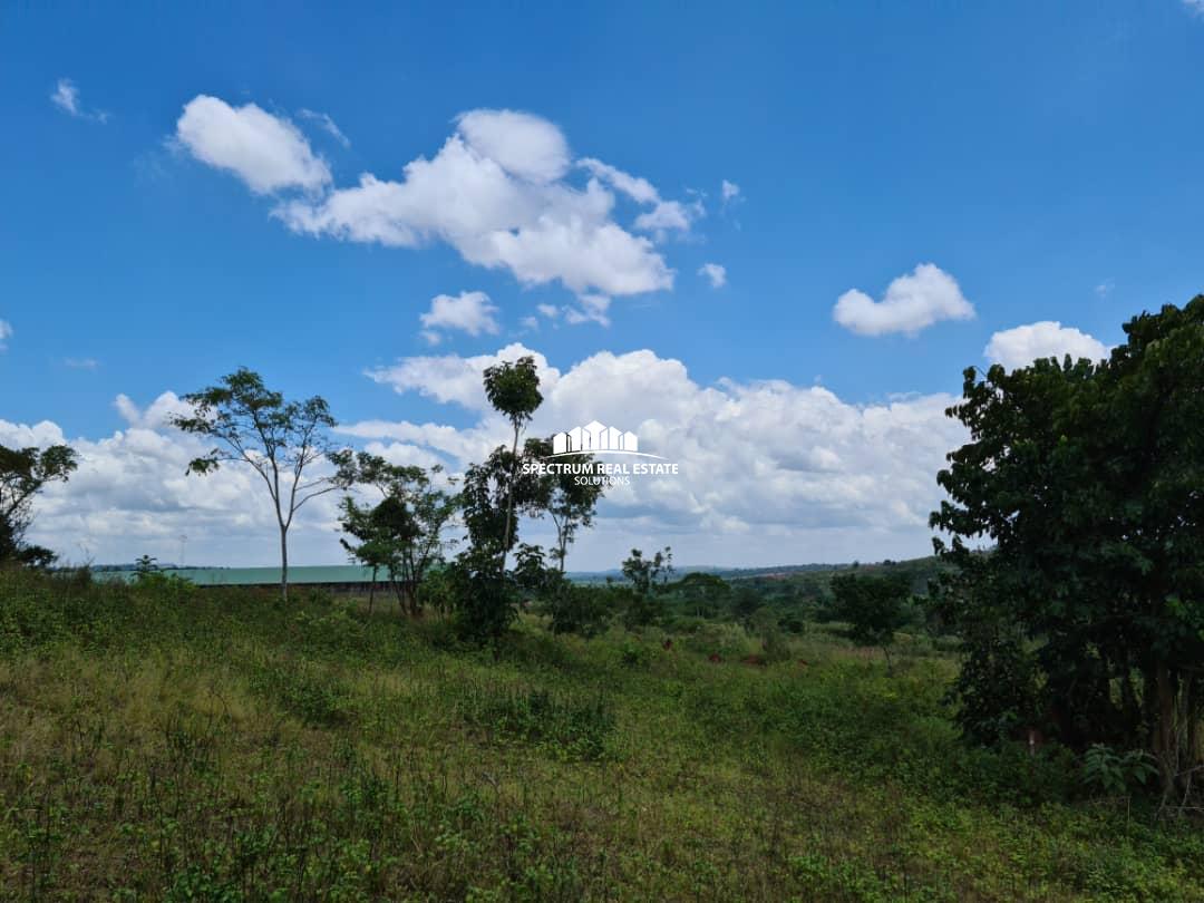 This land for sale in Kiwawu Mityana road, Uganda