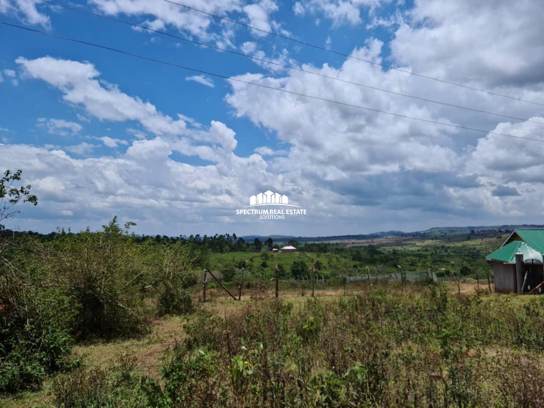 This land for sale in Kiwawu Mityana road, Uganda