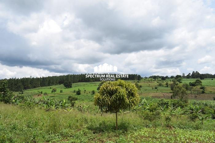 This land for sale in Namulonge, Wakiso District, in the Central Region of Uganda