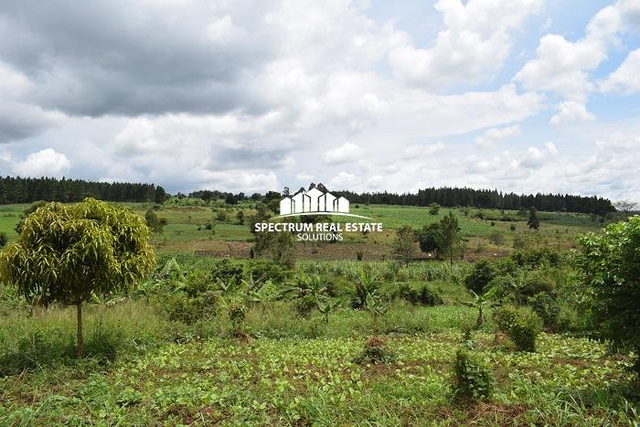 This land for sale in Namulonge, Wakiso District, in the Central Region of Uganda