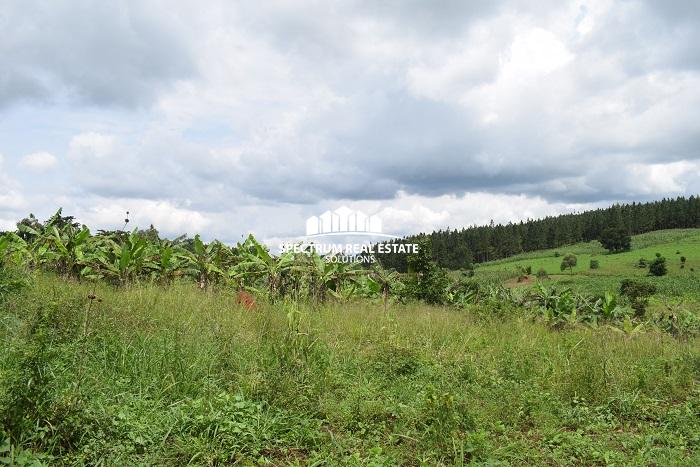 This land for sale in Namulonge, Wakiso District, in the Central Region of Uganda