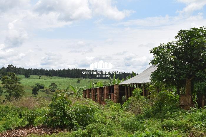 This land for sale in Namulonge, Wakiso District, in the Central Region of Uganda