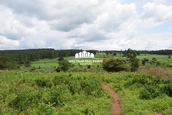 This land for sale in Namulonge, Wakiso District, in the Central Region of Uganda