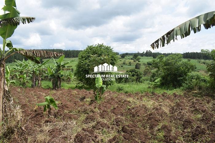 This land for sale in Namulonge, Wakiso District, in the Central Region of Uganda